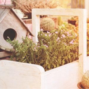 Portada Decoraciones madera