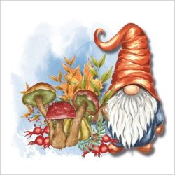 Transfer 25x30 gnomos setas 148