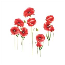 Transfer amapolas 168 (25x35)