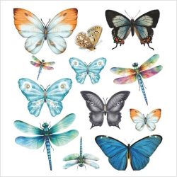 Transfer mariposas y libélulas 183