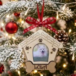 Bola casa para perro Personalizada