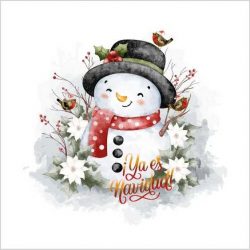 Transfer 25x30 muñeco nieve