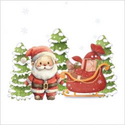 Transfer 207 Papa Noel con trineo