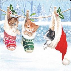 Servilletas gatitos