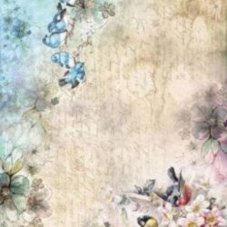 Papel de arroz Itd 0242 (29,7x42)