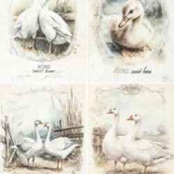 Papel de arroz Itd 1404 (29,7x42)