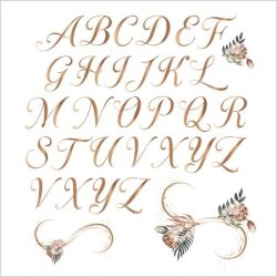 Transfer 228 ABC